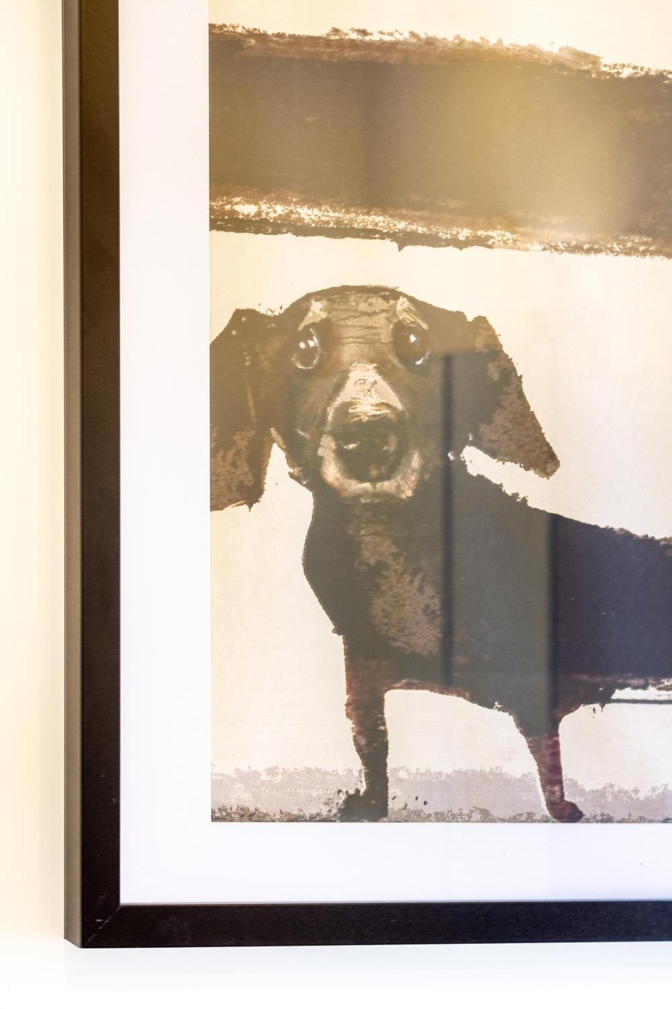 Central City Charm: Pet-Friendly Studio Christchurch Bagian luar foto