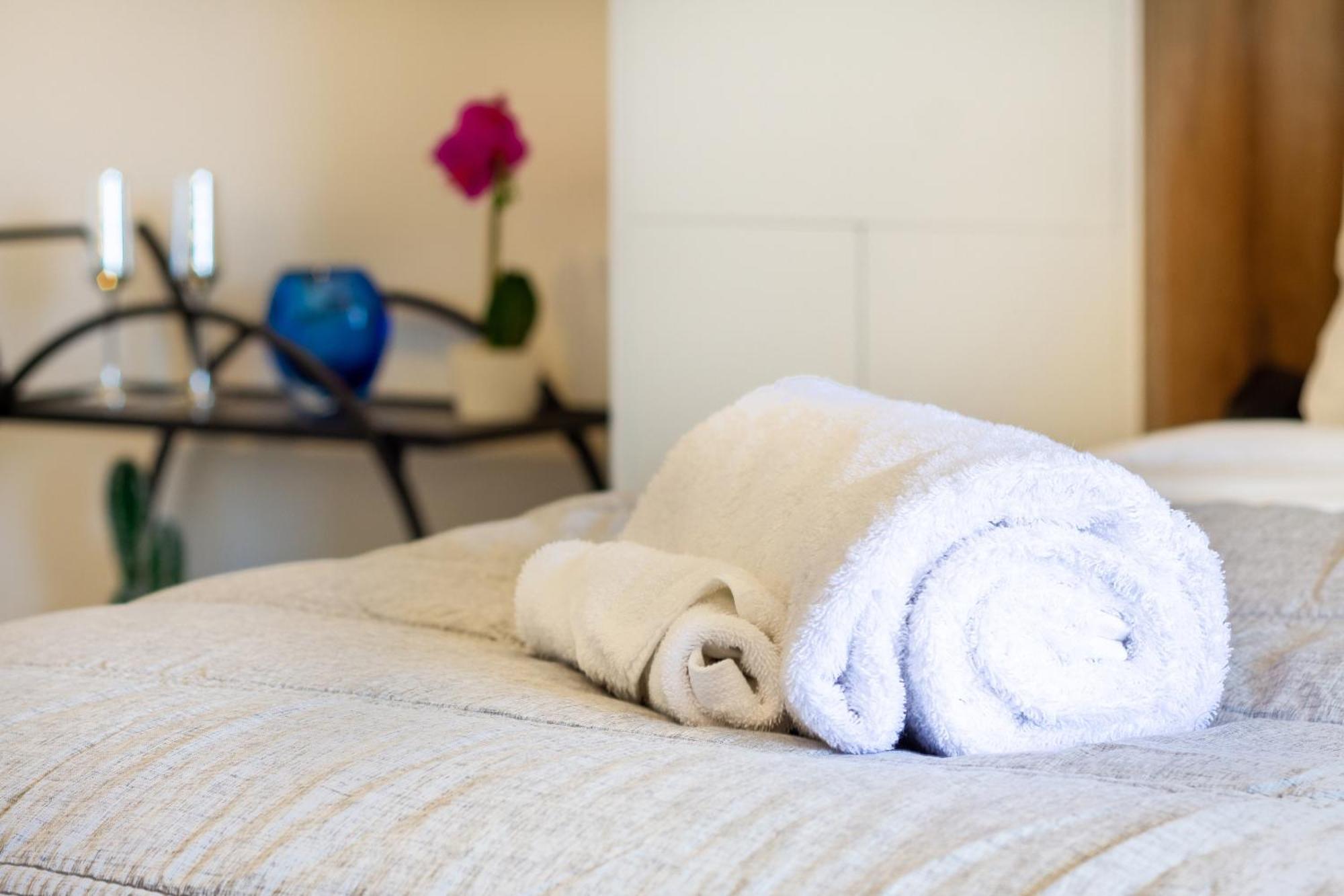 Central City Charm: Pet-Friendly Studio Christchurch Bagian luar foto