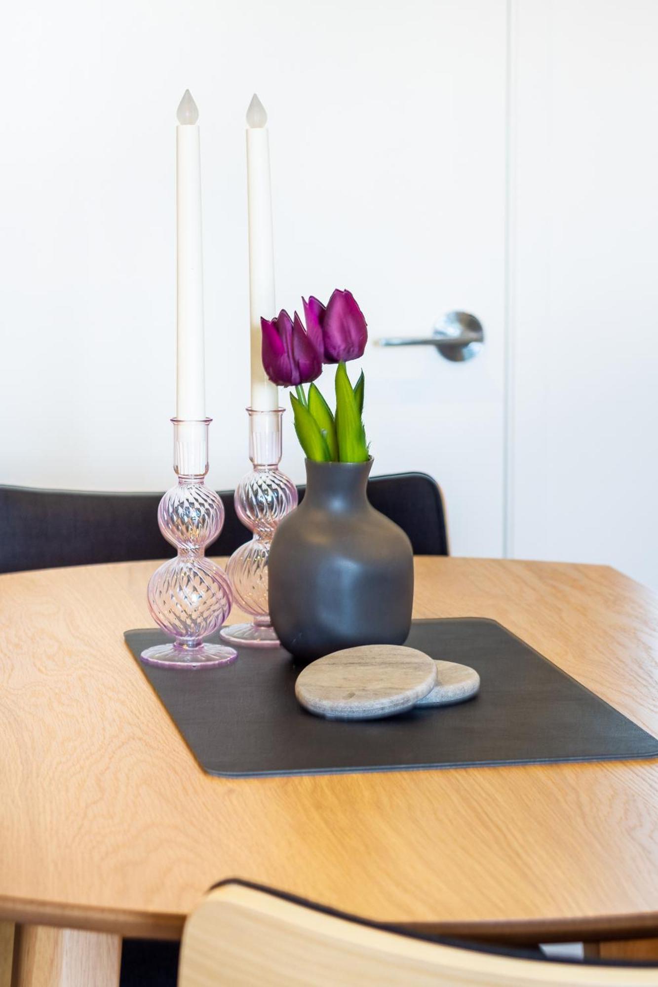 Central City Charm: Pet-Friendly Studio Christchurch Bagian luar foto